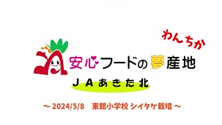 【JAあきた北】わんちか訪問 東館小学校シイタケ栽培学習（20240508） [upl. by Lerred905]