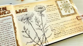 Mixed Media Ideas for Your Nature Journal [upl. by Randal]