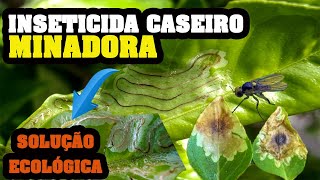 Elimina Larva MINADORA das Folhas e dos Cítricos Inseticida CASEIRO para Plantas [upl. by Uht546]