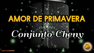 AMOR DE PRIMAVERA  Conjunto Chaney  Letra Salsa Cali [upl. by Lebasiram599]