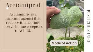 Understanding Acetamiprid Effective Insecticide for Pest Control Chemistry amp Uses [upl. by Harve]