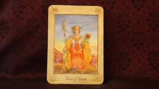 The Llewellyn Tarot Full Flip Through [upl. by Clellan]