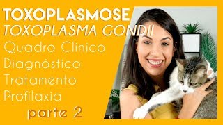 Toxoplasmose toxoplasma gondii  Parte 2  PARASITOLOGIA 4 [upl. by Urien]