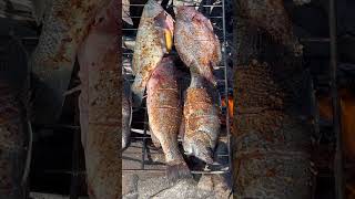 Catch N Cook crappie [upl. by Ayatal631]