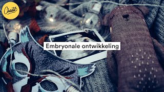 Embryonale ontwikkeling  Mr Chadd Academy [upl. by Jeannine]