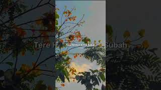 Kasoor Lyrics  Prateek Kuhad shorts lyrics kasoor prateekkuhad co2 [upl. by Siloam]