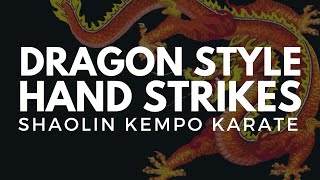 Dragon Style Hand Strikes  Shaolin Kempo Karate [upl. by Ydnor65]