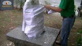 SYSTEM Removal of algae and lichens on marble statue [upl. by Justina]