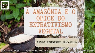 A Amazônia e o óbice do extrativismo vegetal [upl. by Jacki]