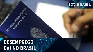 Desemprego cai a 75 e atinge 82 milhões de brasileiros  SBT Brasil 290524 [upl. by Selegna]