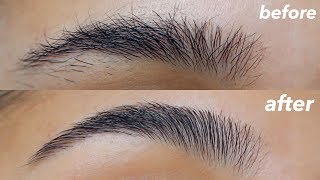 Easy Eyebrow Tutorial for Beginners [upl. by Madelle]