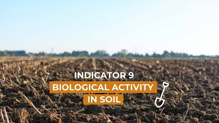 Indicator 9  Biological Activity in the Soil [upl. by Salita200]