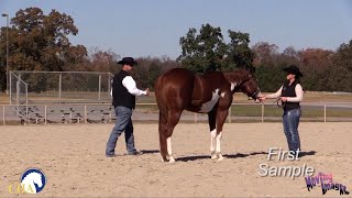 Showmanship Fundamentals with Dave Devlin [upl. by Flodur]