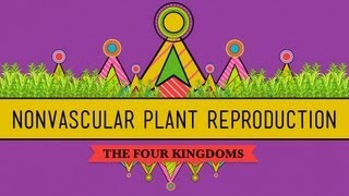 The Reproductive Lives of Nonvascular Plants Alternation of Generations  Crash Course Biology 36 [upl. by Ginder]