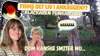 RYMMER ALLA NU  4 dagars VLOGG [upl. by Asenev]