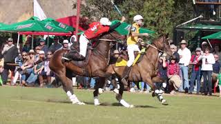 Zambia vs Australia Polocrosse Test [upl. by Nelleeus]