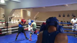 Boxing Sparring session [upl. by Drandell]