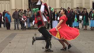 cueca chilena campeones folclor bailes programa monteaguilino suscríbete [upl. by Atteval]