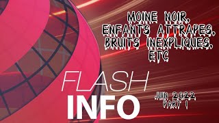 Flash Infos 15  Moine noir enfants attrapés et bruits inexpliqués [upl. by Gernhard]