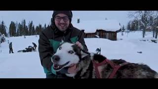 Voyage chiens de traîneau en Laponie  séjour le Tour de l´Ours [upl. by Aldus]