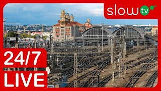 🔴 4K LIVE Trainspotting on Prague Main Station  247 LIVE [upl. by Hanschen328]