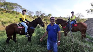 PASSANDO O GADO PARA O NOVO CERCADO [upl. by Cirda]