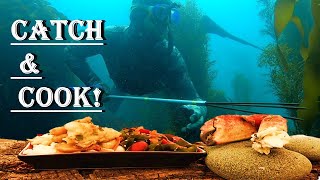 HOW TO FREEDIVESPEARFISH CA New Series  Episode 1 [upl. by Annadiana]