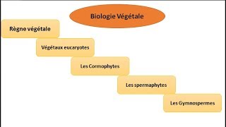 biologie végétale classification des végétaux botanique [upl. by Lemej]