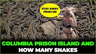 Gogona Columbias Prison Island and Its Sad Past Home to Many of the Worlds Most Dangerous Snakes [upl. by Aseyt]