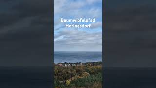 Baumwipfelpfad Heringsdorf [upl. by Mossman]