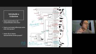 Introdução a Ecdysozoa [upl. by Haleeuqa]