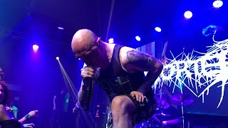 Aborted  FULL SET  Live in Bogotá Colombia Feb 3rd 2024 [upl. by Ekusoyr]