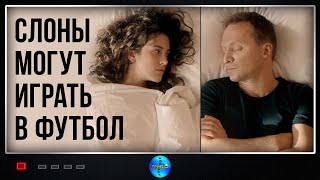 Слоны могут играть в футбол 2018 Мелодрама Full HD [upl. by Graig]