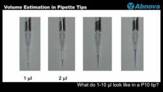 Volume Estimation in Pipette Tips [upl. by Eibrab]