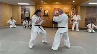 Blocking low kicks whilst attacking used for Karate and Kickboxing drills [upl. by Phelan]