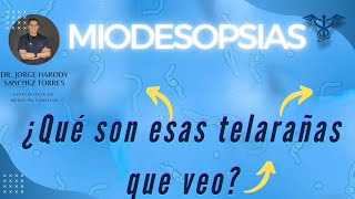 ¿Qué son laa Miodesopsias o moscas flotantes  ¿Cómo se ven las Miodesopsias [upl. by Pleione]