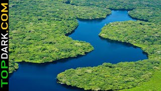 10 Selvas y Bosques Tropicales Más Asombrosas del Mundo  TOPDARKCOM [upl. by Riegel]