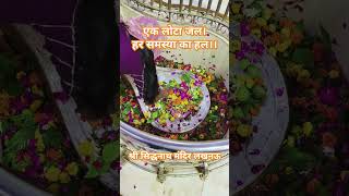 Siddhnath Mandir Lucknow mahakal siddhnath mandir mahadevbhakt jalabhishek reels youtube yt [upl. by Scheck128]