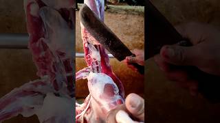 Big Goat 2 Lags Processing Mutton Cutting trending shorts [upl. by Notsehc]