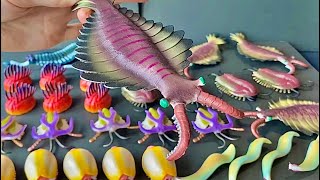 Unboxing Cambrian Explosion Army Anomalocaris Opabinia Wiwaxia And More [upl. by Yerhcaz867]