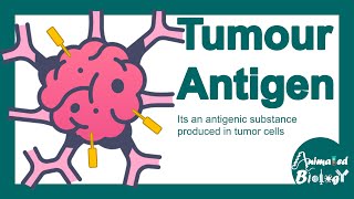 Tumour antigens  Tumour specific antigen  Tumourassociated antigen  Tumour immunity [upl. by Sorips875]