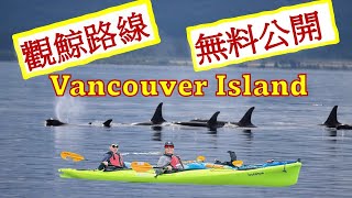 廣東話 CA Vancouver Island Telegraph Cove Whale Watching Kayaking 食住玩 免费入場方法 vancouverisland whale [upl. by Eilegna]