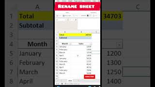 rename worksheet exceltips excel newexcelexceltricks [upl. by Ytsud]