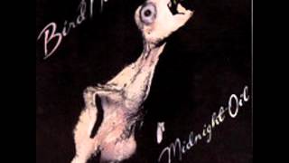 Midnight Oil  2  Knifes Edge  Bird Noises 1980 [upl. by Leind]