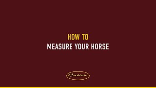 How to Measure Your Horse Custom Saddles [upl. by Barboza]