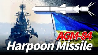 AGM84 Harpoon missile achieves 95 hit rate and sank Russian warship in two seconds [upl. by Vasquez]