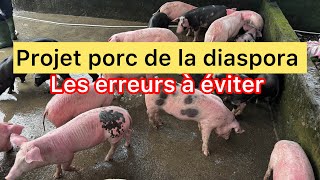 Visite à la ferme de Nkoteng act 3  les erreurs à corriger pour réussir son élevage des porcs [upl. by Tillinger542]