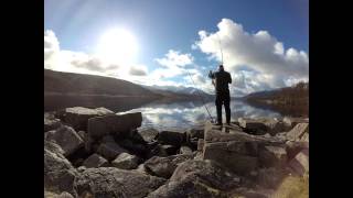 Loch Etive  Spurdogs from the shore [upl. by Nnairb]