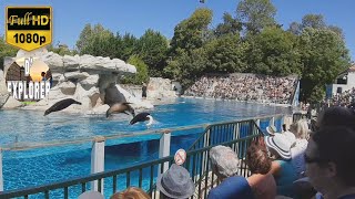 ZooParc de BeauvalOne of the Best zoos in the WorldBird ShowSealion ShowFrance [upl. by Douglas433]