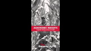 Fungicide Timing on Corn  Superior Ag Agronomic Insights 6272024 [upl. by Elrem]